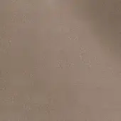 243303414 - CASTAGNA